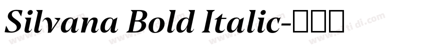 Silvana Bold Italic字体转换